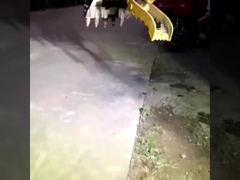 Fabrique personnalisée toute nouvelle mini excavatrice hydraulique de prise de seau à vendre