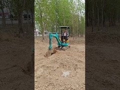 Il s'agit de Kubota 15.